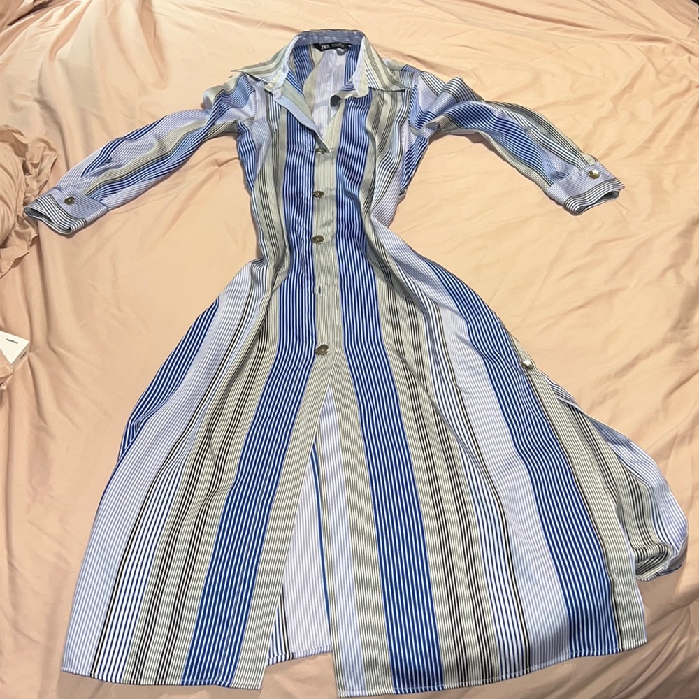 Zara Button Down Silk Slip Dress